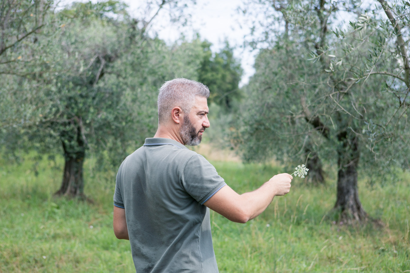 Uomo in un campo di olivi